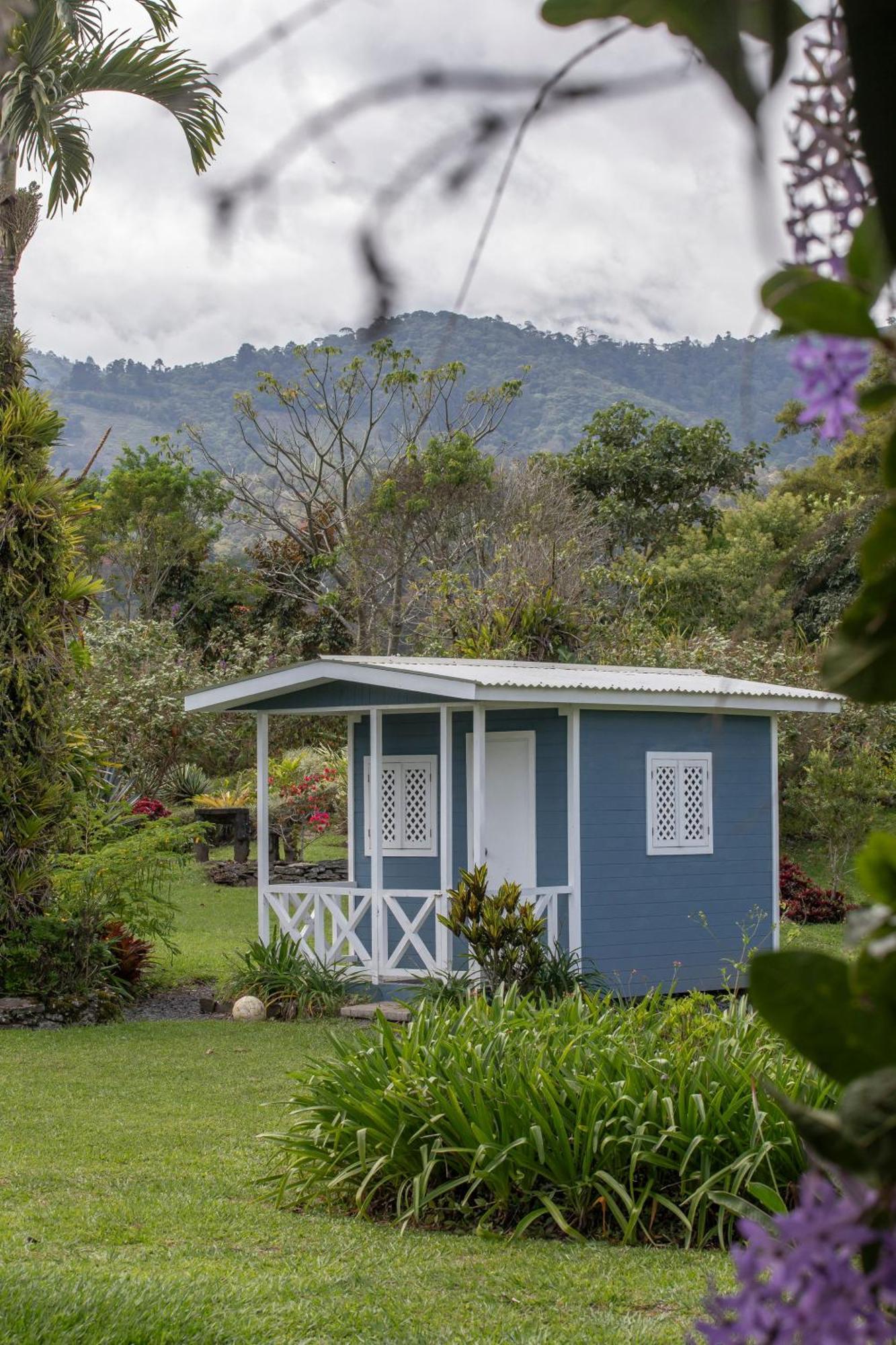 Aquiares Coffee Farm Casa Hacienda La Esperanza Bed and Breakfast Turrialba Eksteriør billede