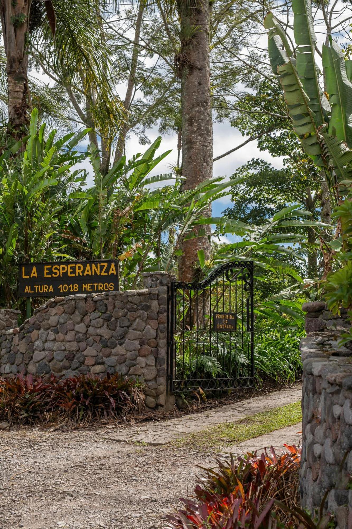 Aquiares Coffee Farm Casa Hacienda La Esperanza Bed and Breakfast Turrialba Eksteriør billede