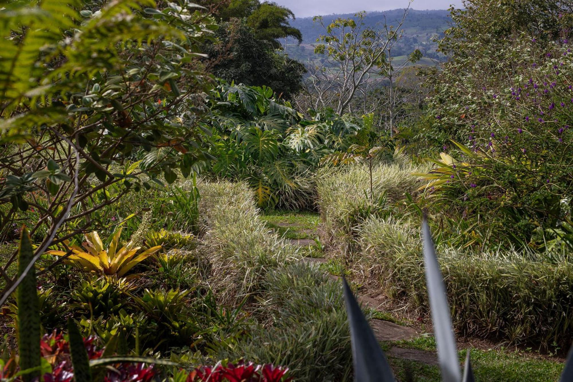 Aquiares Coffee Farm Casa Hacienda La Esperanza Bed and Breakfast Turrialba Eksteriør billede