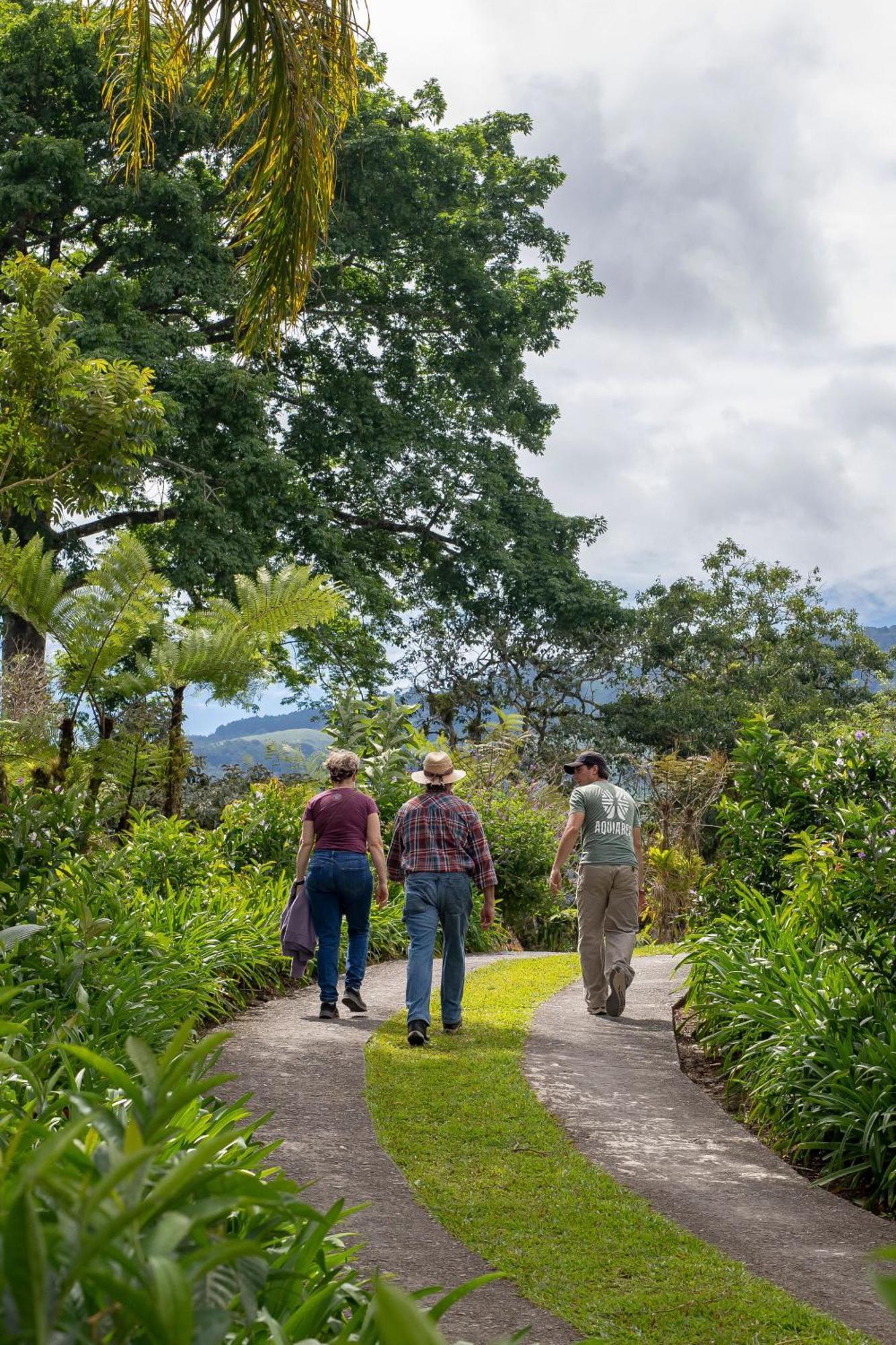 Aquiares Coffee Farm Casa Hacienda La Esperanza Bed and Breakfast Turrialba Eksteriør billede