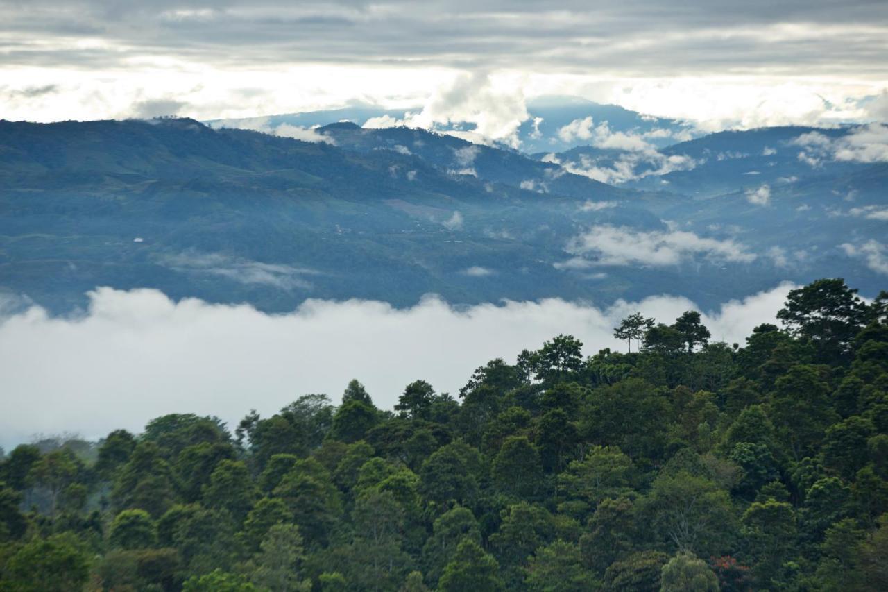 Aquiares Coffee Farm Casa Hacienda La Esperanza Bed and Breakfast Turrialba Eksteriør billede